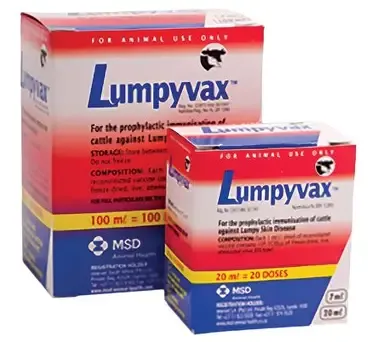 Pharmaceutical Asset