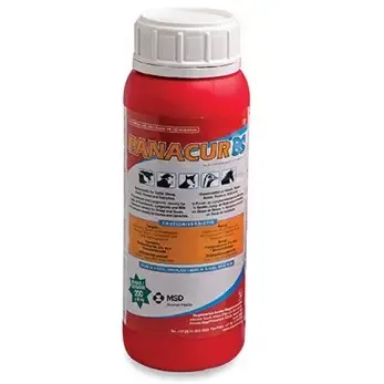 Pharmaceutical Asset