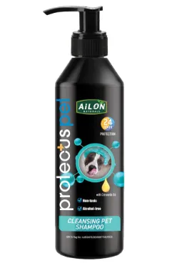 Pharmaceutical Asset